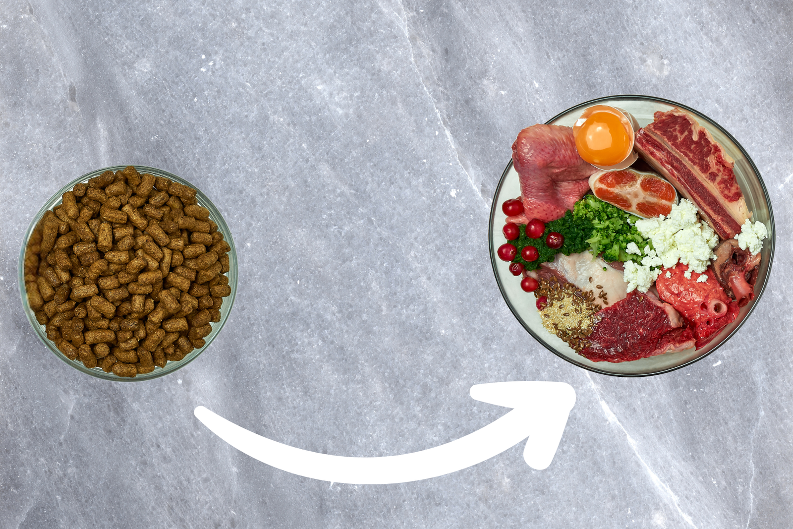How to transition your dog from dry food to raw food